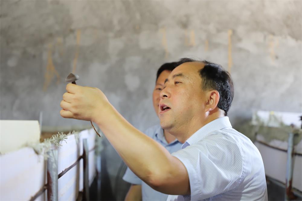 EMC易倍·(中国)体育官方网站平台
