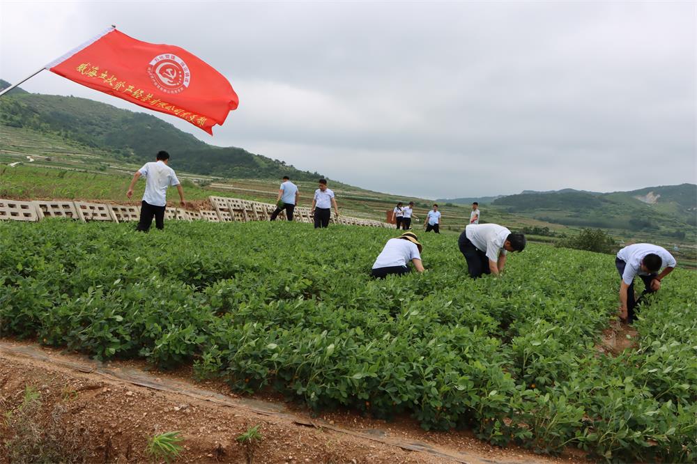 EMC易倍·(中国)体育官方网站平台