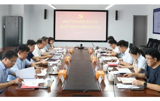 威海产投集团党委组织召开党史学习教育专题组织生涯会