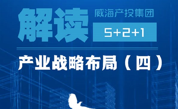 解读产投战略结构之四：专业化资源运作为“5+2+1”战略护航